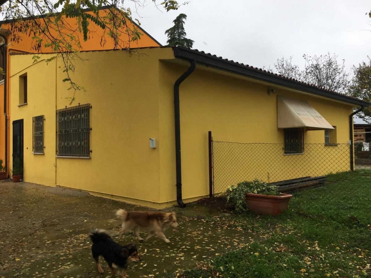 Green House Nogara Экстерьер фото